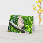 Breit-winged Falke-Gruß-Karte, leeres Innere Karte (Gelbe Blume)