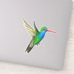 Breitbillige Hummingbird Wasserfarben Malerei Art Aufkleber