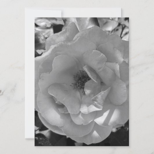 BREITE EINLADUNG Flachkarte ROSE STIL DESIGN (Vorderseite)