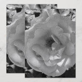 BREITE EINLADUNG Flachkarte ROSE STIL DESIGN (Vorne/Hinten)