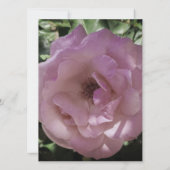 BREITE EINLADUNG Flachkarte ROSE STIL DESIGN (Rückseite)