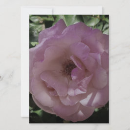 BREITE EINLADUNG Flachkarte ROSE STIL DESIGN