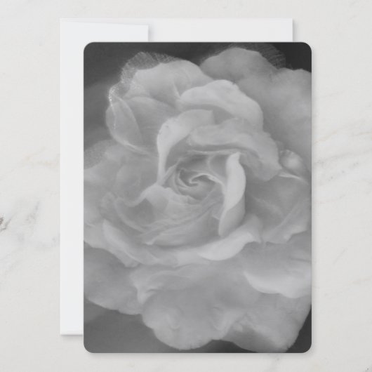 BREITE EINLADUNG Flachkarte SCHÖNE ROSE STIL (Vorderseite)