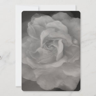 BREITE EINLADUNG Flachkarte SCHÖNE ROSE STIL