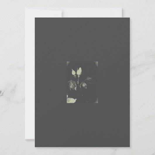 BREITE EINLADUNG ROSE DESIGN STIL (Rückseite)