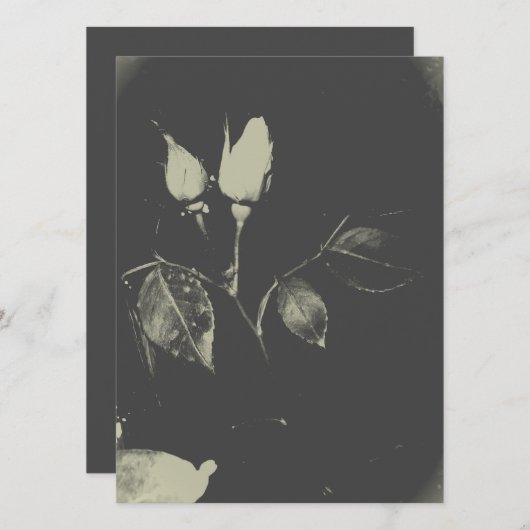 BREITE EINLADUNG ROSE DESIGN STIL (Vorne/Hinten)