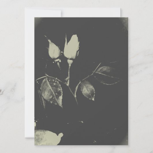 BREITE EINLADUNG ROSE DESIGN STIL (Vorderseite)