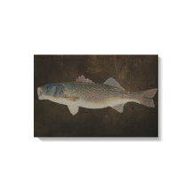 BREITE MOUTH BASS WRAPPING CANVAS