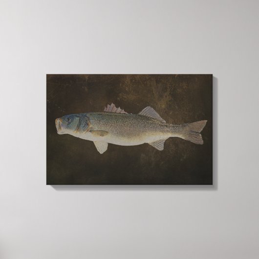 BREITE MOUTH BASS WRAPPING CANVAS LEINWANDDRUCK (Vorderseite)