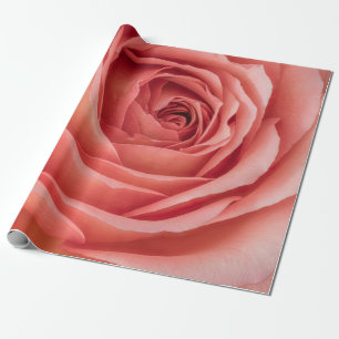 breite offene orange rosa Rosenblüte Innenherz mac Geschenkpapier