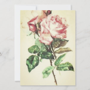 BREITE TAGESEINLADUNG