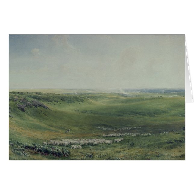 Breite Weiden, Sussex (Vorderseite (Horizontal))