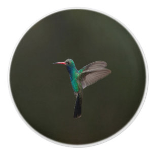 Breitgesichtkolibri im Flug Keramikknauf
