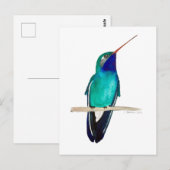 Breitschnabelkolibri Postkarte (Vorne/Hinten)