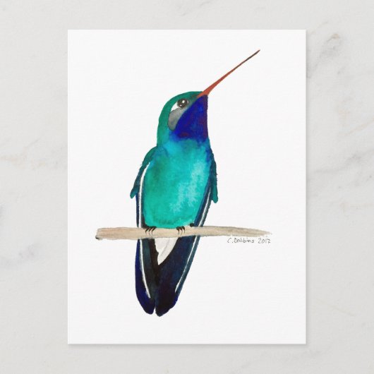 Breitschnabelkolibri Postkarte (Vorderseite)