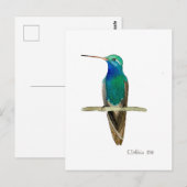 Breitschnabelkolibri Postkarte (Vorne/Hinten)
