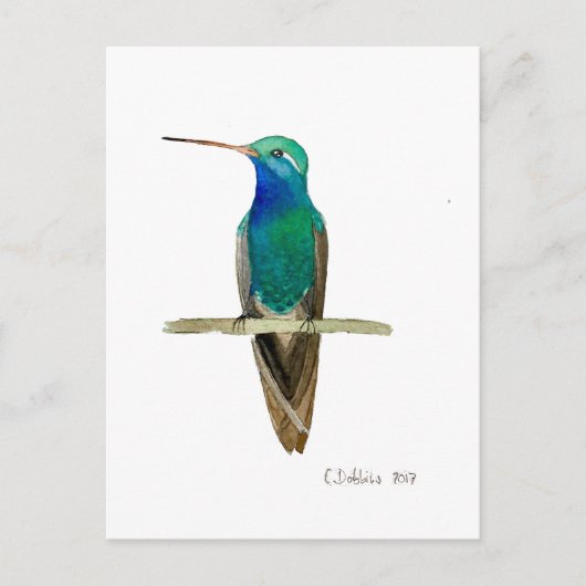 Breitschnabelkolibri Postkarte (Vorderseite)