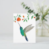 Breitschnabelkolibri Postkarte (Stehend Vorderseite)