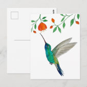 Breitschnabelkolibri Postkarte (Vorne/Hinten)