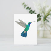 Breitschnabelkolibri Postkarte (Stehend Vorderseite)