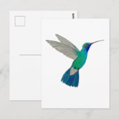 Breitschnabelkolibri Postkarte (Vorne/Hinten)