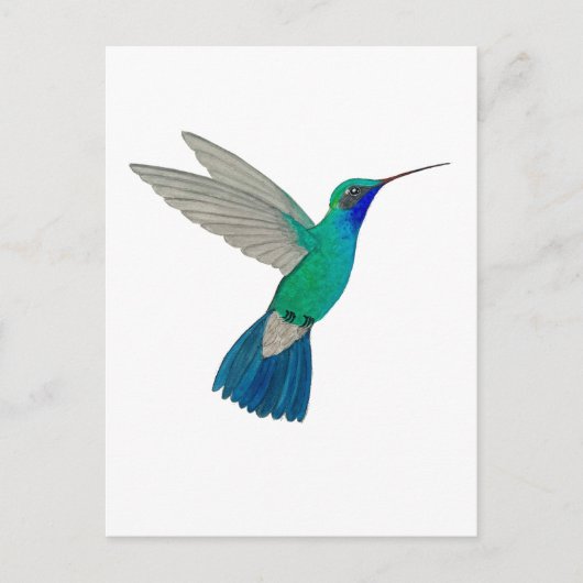 Breitschnabelkolibri Postkarte (Vorderseite)