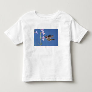 Breitschwanzkolibri, Selasphorus Kleinkind T-shirt