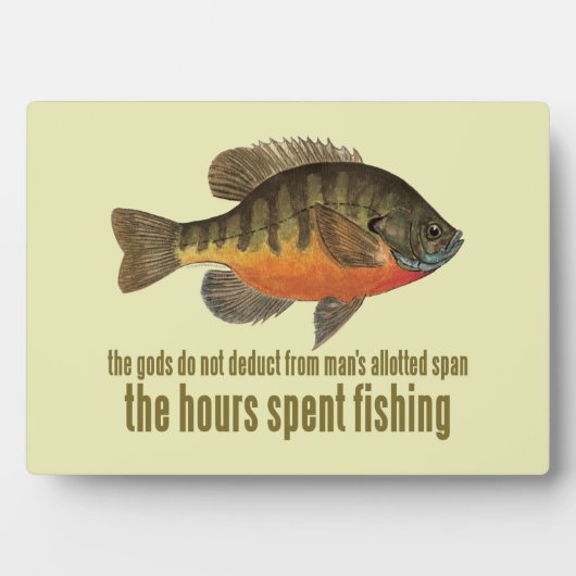 Bremmangeln Fotoplatte (Vorderseite)