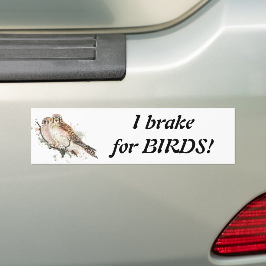 Bremse für Birds Zitat Vogelbeobachtung Kestrel Pa Autoaufkleber (Auf Auto)