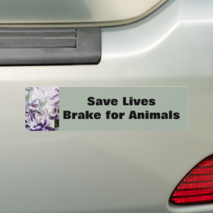 Bremse für Lila Katze Autoaufkleber