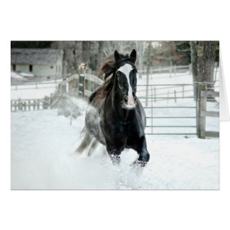 Brenda Lee-laufender Winter