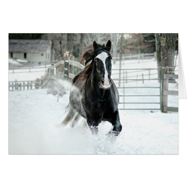 Brenda Lee-laufender Winter (Vorderseite (Horizontal))