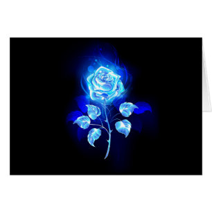 Brennen der blauen Rose