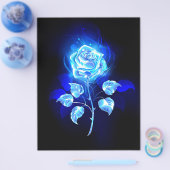 Brennen der blauen Rose Flyer (Einzeln)