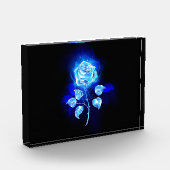 Brennen der blauen Rose Fotoblock (Links)