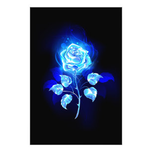 Brennen der blauen Rose Fotodruck