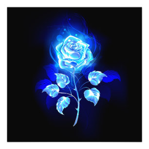 Brennen der blauen Rose Fotodruck