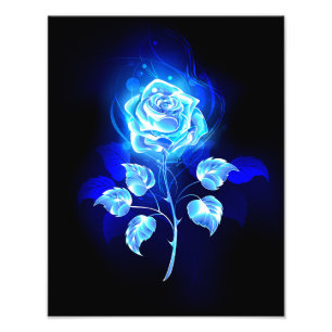 Brennen der blauen Rose Fotodruck
