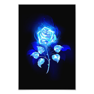 Brennen der blauen Rose Fotodruck