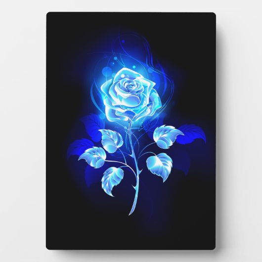 Brennen der blauen Rose Fotoplatte (Vorderseite)
