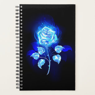 Brennen der blauen Rose Planer