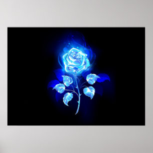 Brennen der blauen Rose Poster