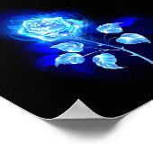 Brennen der blauen Rose Poster (Ecke)