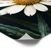 Brennen von Schmetterlingsmopfflügel Poster (Ecke)