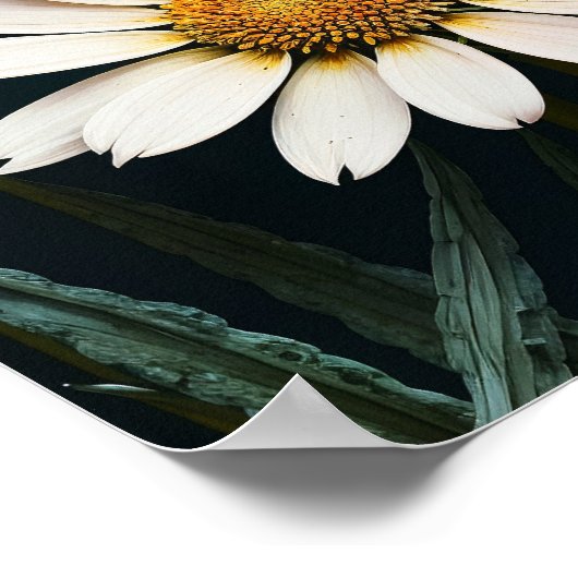 Brennen von Schmetterlingsmopfflügel Poster (Ecke)