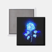 Brennende Blaue Rose Magnet (Vorderseite/Rückseite)