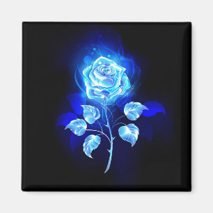 Brennende Blaue Rose Magnet
