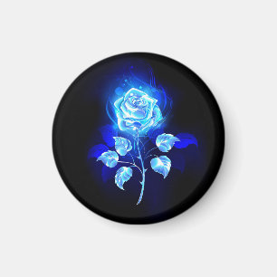 Brennende Blaue Rose Magnet