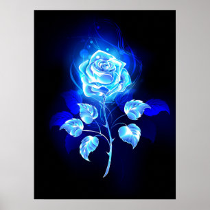 Brennende blaue Rose Poster