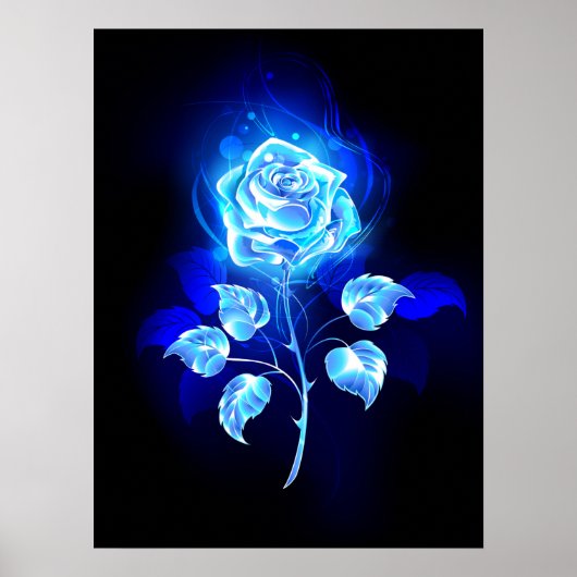 Brennende blaue Rose Poster (Vorne)